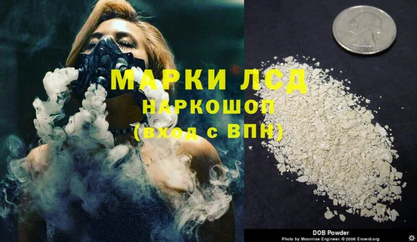 ГАЛЛЮЦИНОГЕННЫЕ ГРИБЫ Балахна