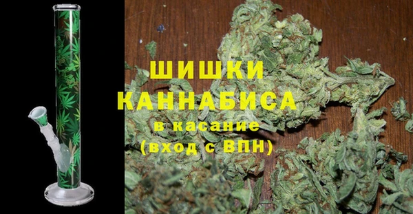 ГАЛЛЮЦИНОГЕННЫЕ ГРИБЫ Балахна